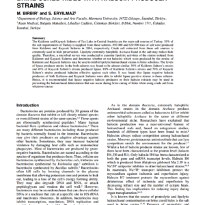 Inhibiting Lipolytic Haloarchaeal Damage On Brine Cured Hides With Halocin Producer Strains