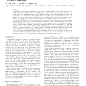 Structure Of Skin-Collagenous Fibres: Crossbreeds From Black-And-White-Cows X Bulls Of Beef Breeds