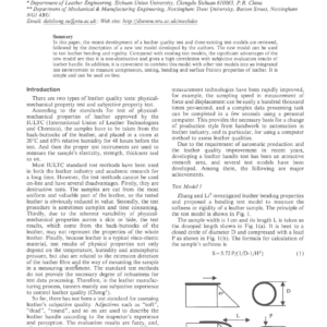 A New Model For Leather Quality Testing