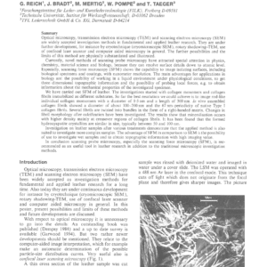 Scanning Probe Microscopy A Useful Tool In Leather Research