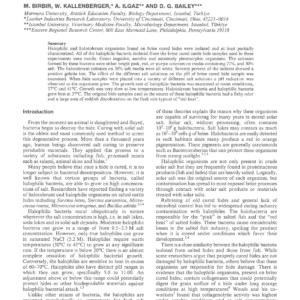 Halophilic Bacteria Isolated From Brine Cured Cattle Hides