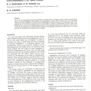 Studies on the Source of Contamination of Hides by Collagenolytic Bacteria