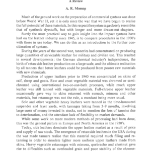 The Impact of Syntans on Leather-Making Processes over the Past 25 Years