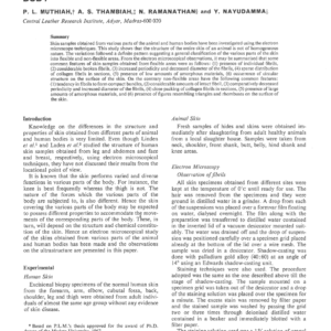 Ultrastructural Observations of Skin Samples Obtained from Various Parts of Animal and Human Body