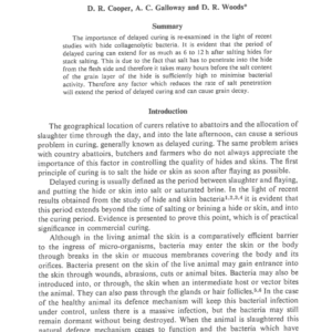 A New Look at Delayed Curing Based on the Rate of Salt Penetration and Bacterial Activity