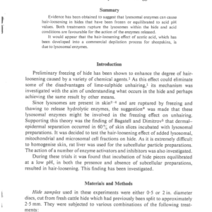 Lysosomal Hair-Loosening of Hides