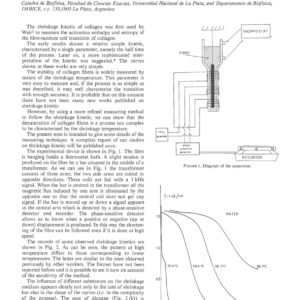 On the Shrinkage Kinetic of Collagen