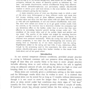 The Incorporation Of Antiseptics In Curing Salt For Domestic Sheep Skins