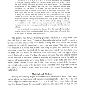 Curing And Quality Of Sheepskins: The Effect Of Delayed Curing On The Quality Of Grain And Chamois Leather