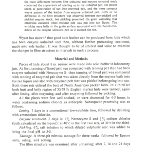 The Changes In Fibre Structure Of Ox Hide On Enzyme Unhairing And Tanning As Sole Leather