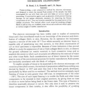 The Freeze-Etching Of Skin For Electron Microscope Examination