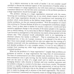 The Large Organisation