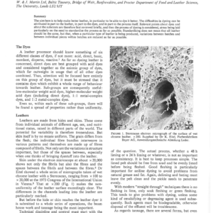 The Successful Practice of Leather Dyeing