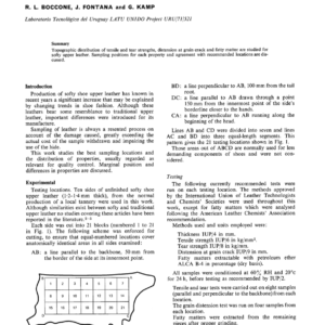 Topographic Distribution of Properties in Softy Shoe Upper Leathers