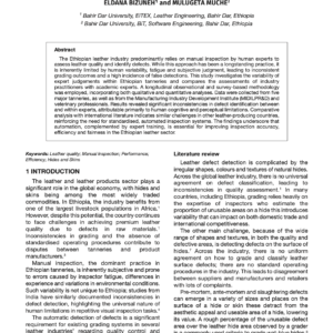 Expert Judgement Variability in Ethiopian Leather Quality Inspection: Implications for Automation and Standardisation
